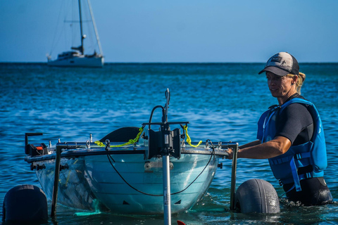 Fuerteventura: Kayak elettrico trasparente con guidaTour nautico premium in kayak elettrico trasparente