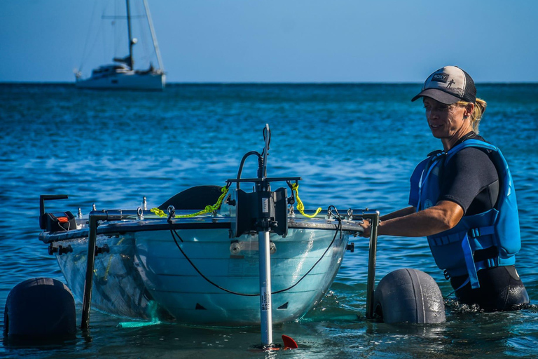 Fuerteventura: Kayak elettrico trasparente con guidaTour nautico premium in kayak elettrico trasparente