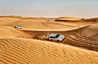 Abu Dhabi Evening Desert Safari & Dinner Under the Stars