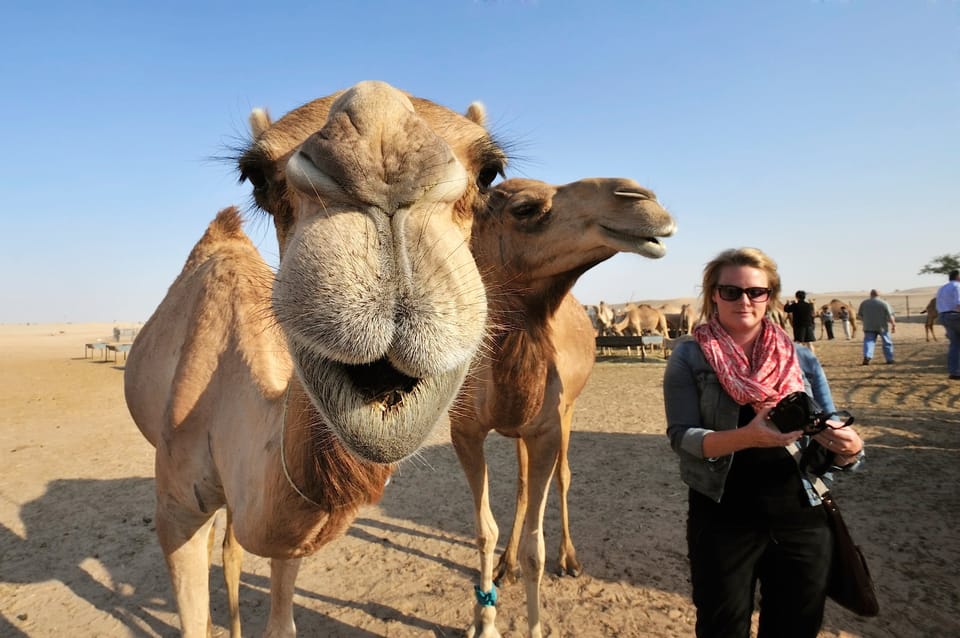 Abu Dhabi Abendliche W Stensafari Und Essen Unter Den Sternen