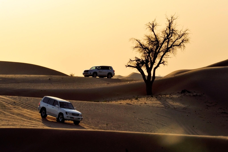 Abu Dhabi: woestijntocht en diner onder de sterren