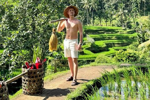 Ubud: Private Half-Day Tour Rice Terrace, Temple & Waterfall Private Half-Day Tour (With Entrance Tickets)