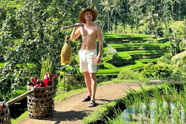 Ubud: Private Half-Day Tour Rice Terrace, Temple & Waterfall Private Half-Day Tour (With Entrance Tickets)