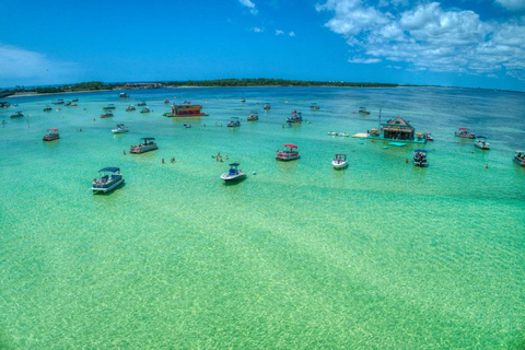 Crab Island: 4-Hour Crab Island Charter Experience