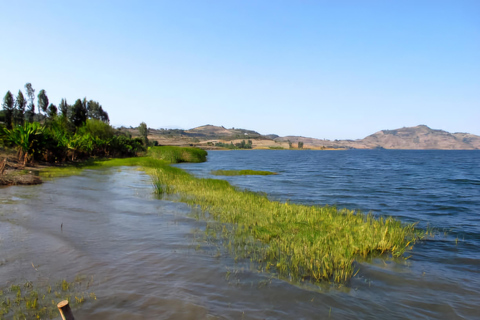 Addis Abeba: 2-dniowa wycieczka do Awassa, jeziora Ziway i Wondo Genet