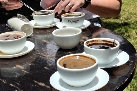 TOUR GIORNALIERO DELLA FATTORIA DEL CAFFÈ FAIRVIEW