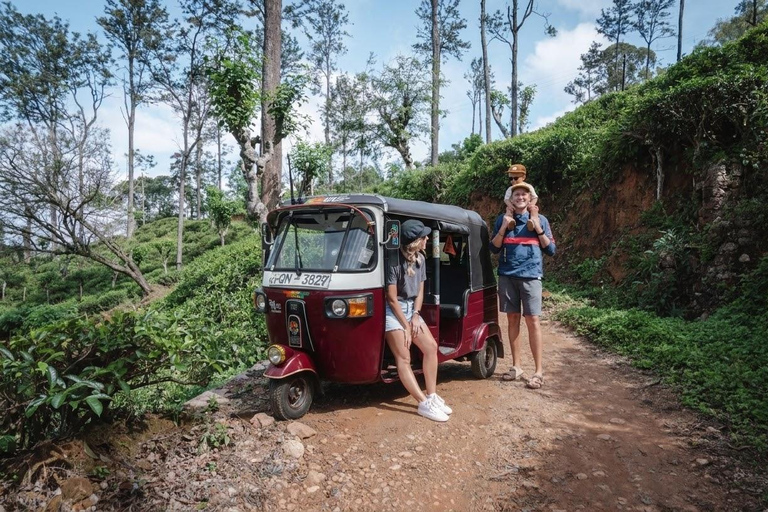 From Kandy: Private Pinnawla & Sri Lankan Village Experience