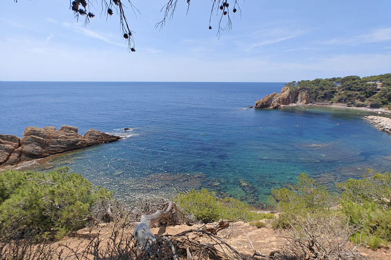 Van Marseille naar de Calanques Blueues met de trein, wandeling, lagunes en dorpjes