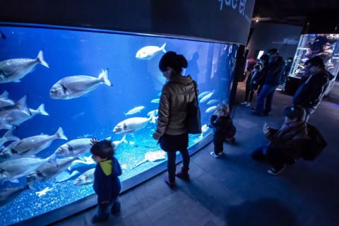 Paryż: bilet wstępu do Aquarium de Paris