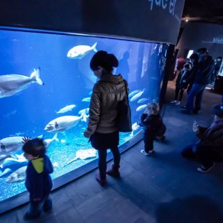 Paris: Inngangsbillett til Aquarium de Paris
