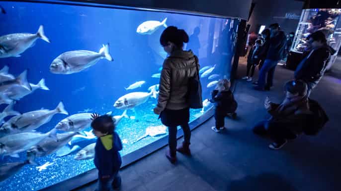 aquarium de paris fullday entrance ticket
