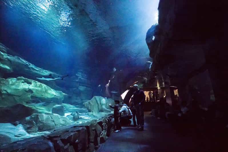 Aquarium de Paris billet d'entrée GetYourGuide