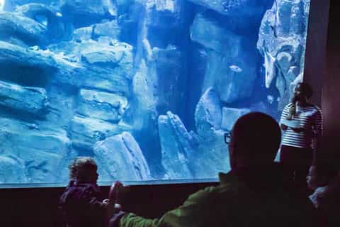 Aquarium de Paris Full-Day Entrance Ticket