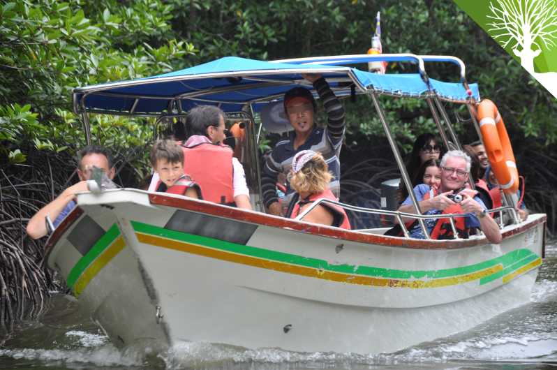 Wycieczka łodzią safari po mangrowe Langkawi