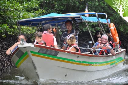 Langkawi: Passeio de barco de dia inteiro para safári nos manguezais com almoço
