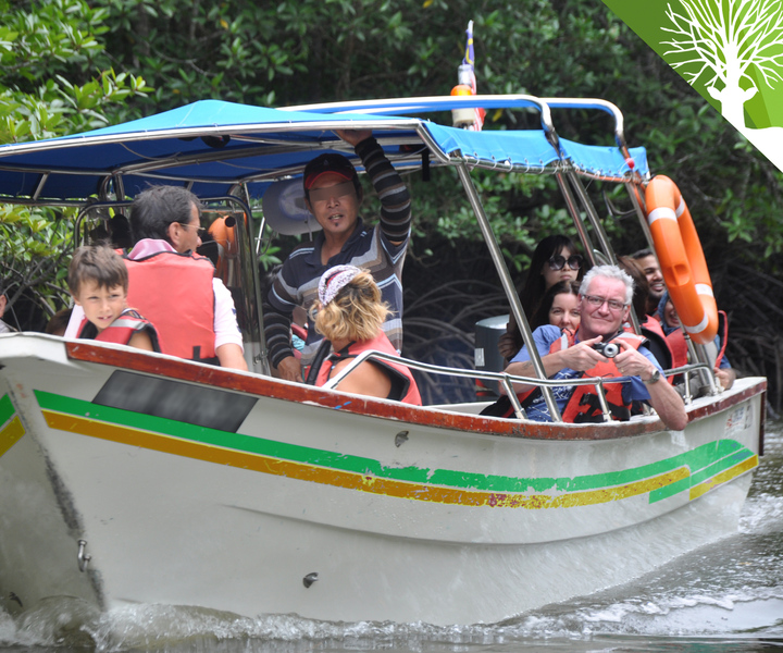 Langkawi Mangrove Safari Boat Tour