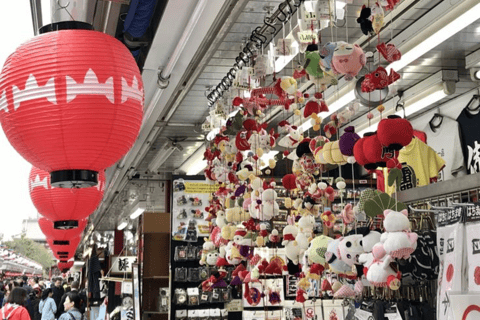 Tokyo Full Day Customizable Private Tour with English Guide