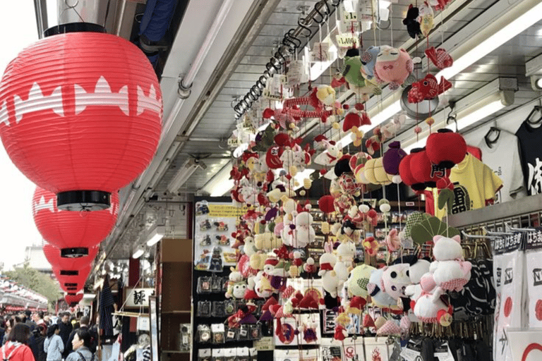 Tokyo Full Day Customizable Private Tour with English Guide