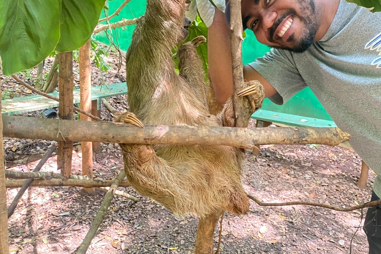 ATV Jungle Tour + Sloths