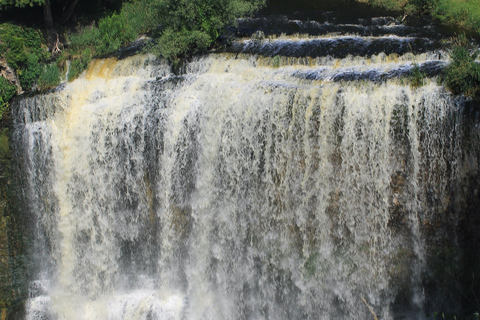 Cherry Garden and Waterfall RV Tour Toronto - Hamilton