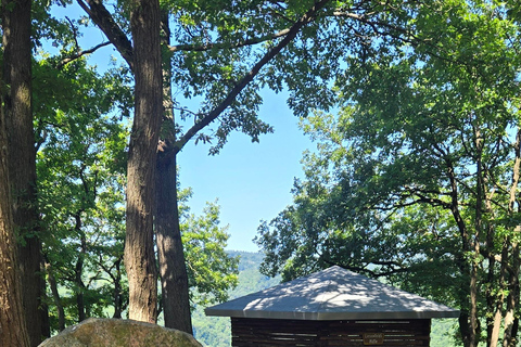 Emmelshausen / Boppard guided hike "Hunsrück Railway Trail"