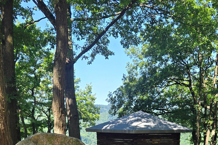 Emmelshausen / Boppard guided hike "Hunsrück Railway Trail"