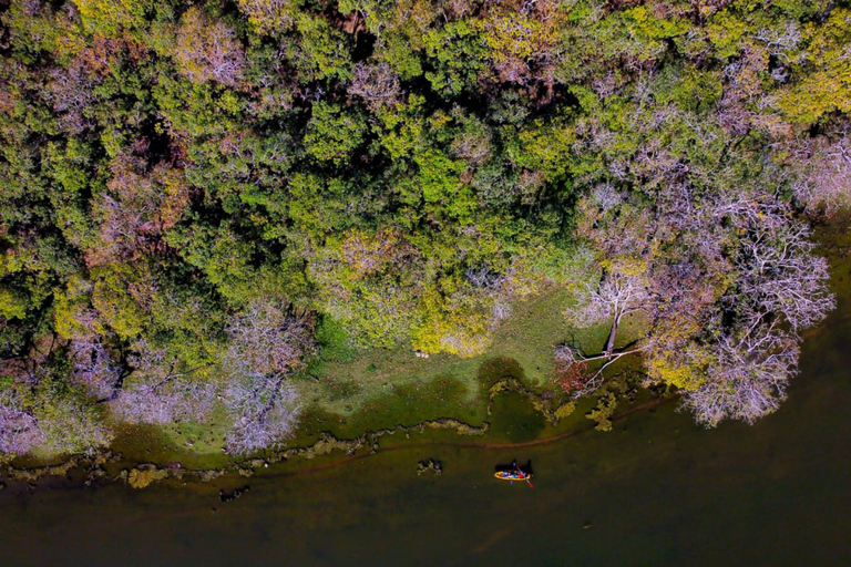 From Sigiriya: Kayaking Through Floating Flowers at Kanthale