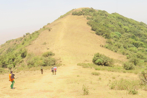 نيروبي: جولة مشي طويلة في تلال نغونغ مع مغامرة الانزلاق بالحبلNairobi: Ngong Hills Guided Hike with Zipline Adventure