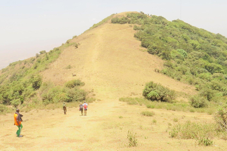 نيروبي: جولة مشي طويلة في تلال نغونغ مع مغامرة الانزلاق بالحبلNairobi: Ngong Hills Guided Hike with Zipline Adventure