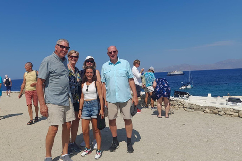 Mykonos l&#039;emblématique : Une visite guidée à pied des points forts de Mykonos
