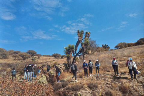 Desde León: Los Panales Excursión de un día de aventura con desayuno