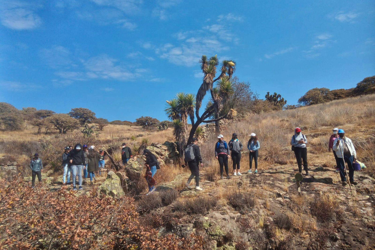 Desde León: Los Panales Excursión de un día de aventura con desayuno