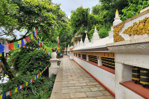 Thamel and Swayambhunath (Monkey Temple) Walking TourThamel &amp; Monkey Temple Small Group Tour