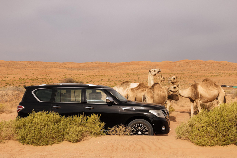 Oman: 14-Day Natural Wonders Group Tour