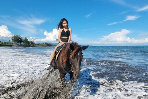 Bali: Horse Riding & Turtle Release Experience at Saba Beach Exclude: (not included horse riding tickets, lunch expense)
