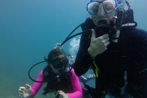 Daymaniyat Islands Scuba Diving Experience with Photos