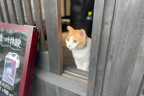 Tokio: Prywatna wycieczka do Beckoning Cat Painting w Yanaka