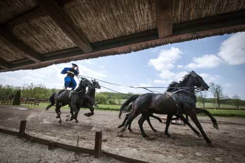excursão mágica na hungria palácio barroco e show de cavalos