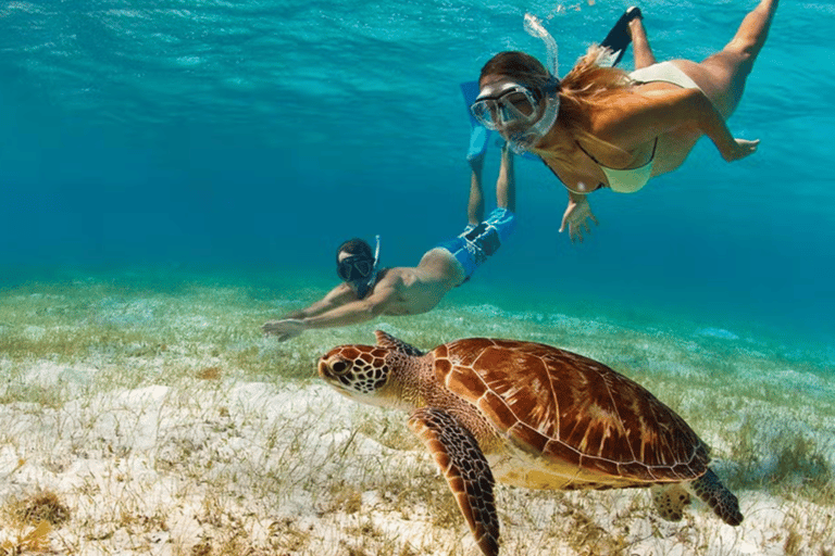 Miches: Catalina Island Day Trip with Snorkeling & Lunch