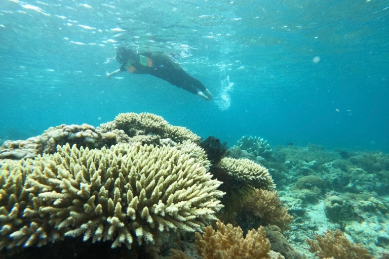 Excursión Privada Diaria de Snorkel por las Gili SecretasExcursión de snorkel a las 4 Gilis Ocultas del Sur de Lombok