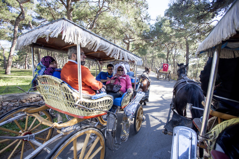 Tour de 1 día en Islas Príncipe