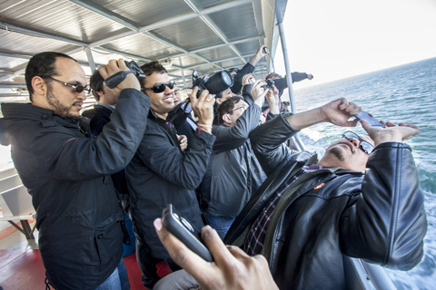 Volledige dagtour naar de PrinseneilandenDagexcursie naar de Prinseneilanden