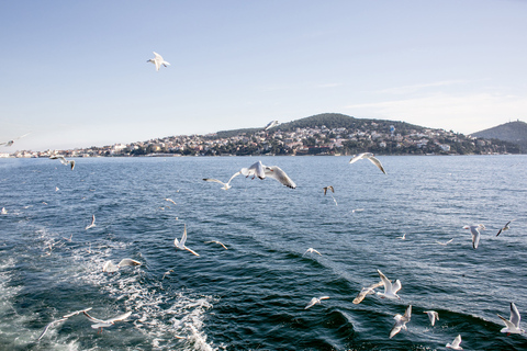 Ab Istanbul: Tagestour zu den Prinzeninseln