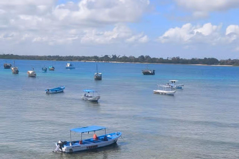 Mombasa: Full day excursion Full day excursion in Mombasa from Diani