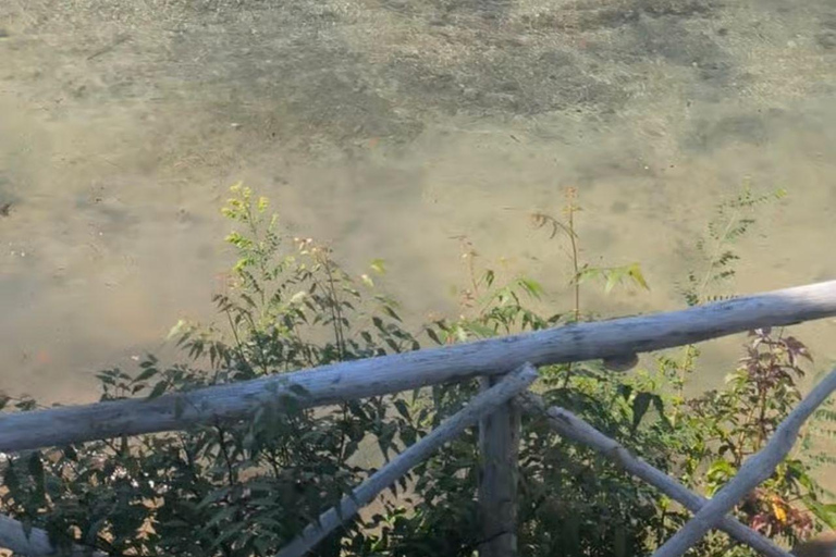 Mombasa: Full day excursion Full day excursion in Mombasa from Diani