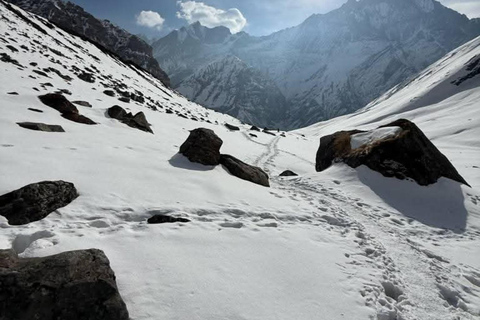 Pokhara: Annapurna base camp Trek with Female Guide
