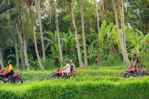 Ubud: Guided Quad Bike ATV Adventure with Waterfall & Tunnel Guided Single ATV - Long Track ( 7KM / 1,5 Hours )
