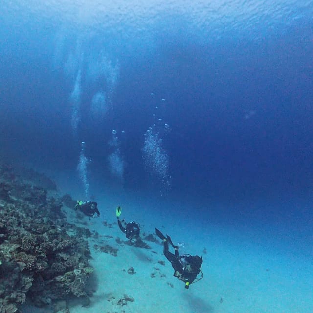 Tahiti : Formation plongée complète – du bapteme au Niveau 1