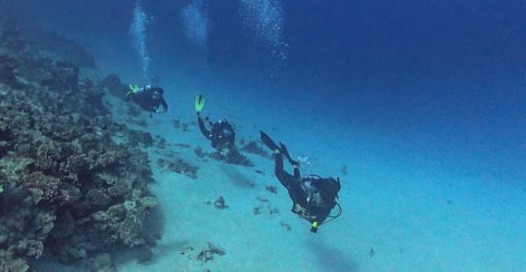 Tahiti: Comprehensive Diving Training – From First Dive to Level 1