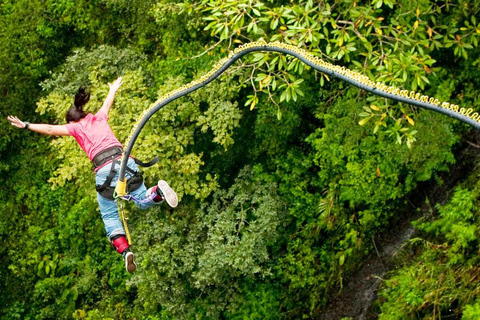 Salto bungy